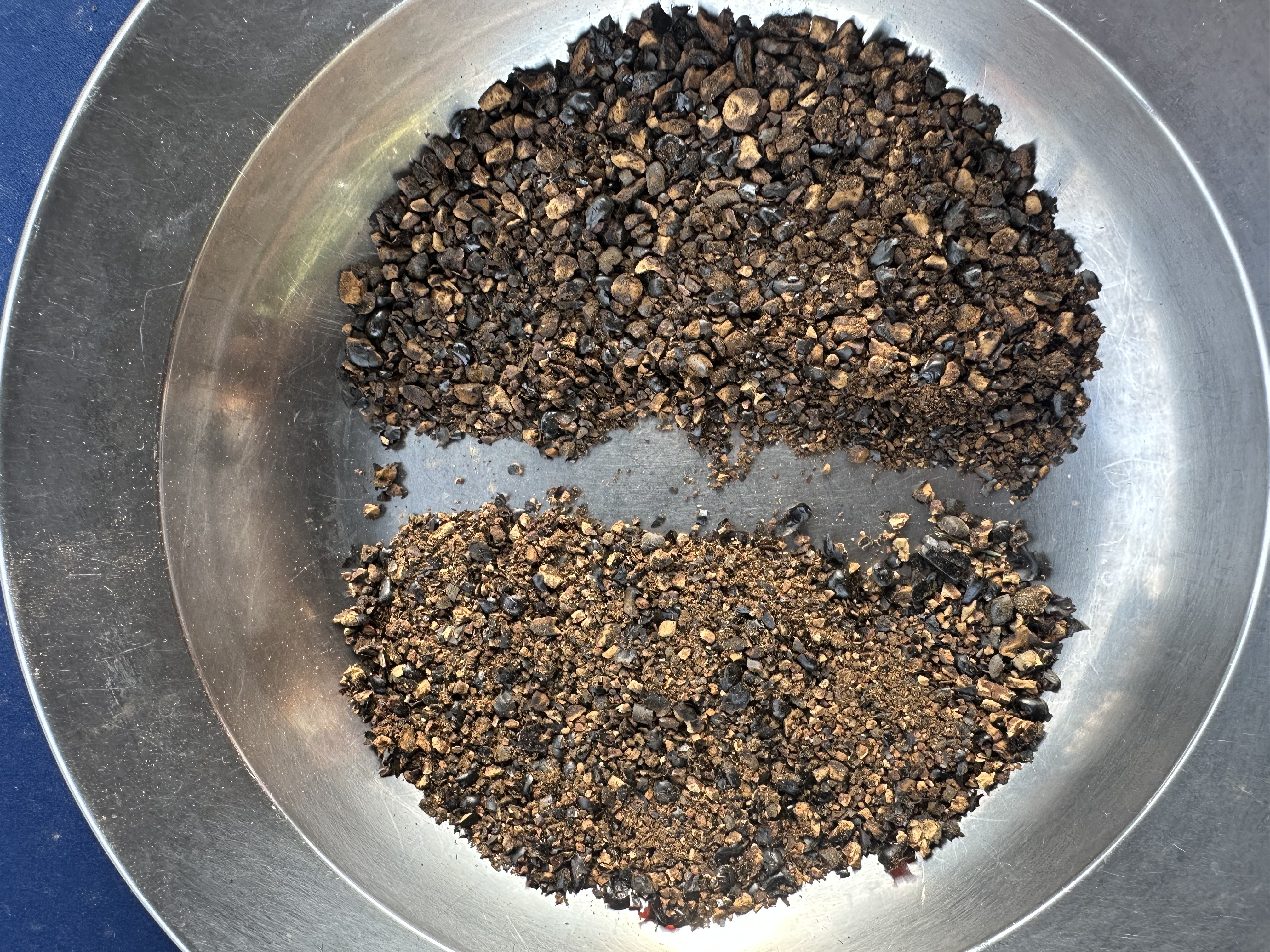 Broken roasted maize kernels showing internal roast level