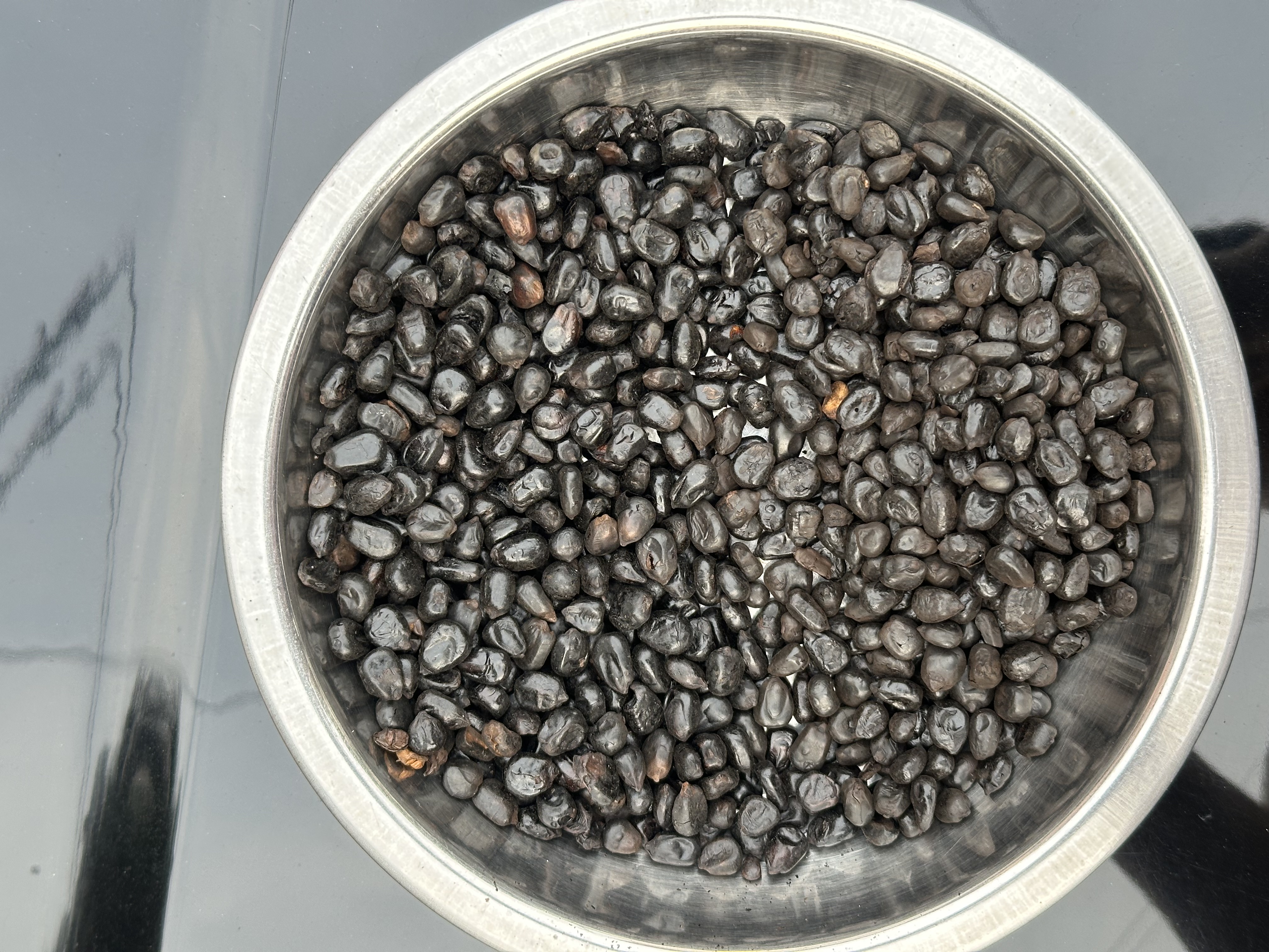 Whole Dark Roast maize shown in a stainless-steel bowl